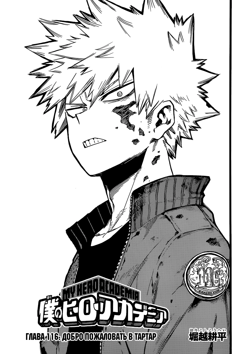 Read Boku no Hero Academia RU Manga Online
