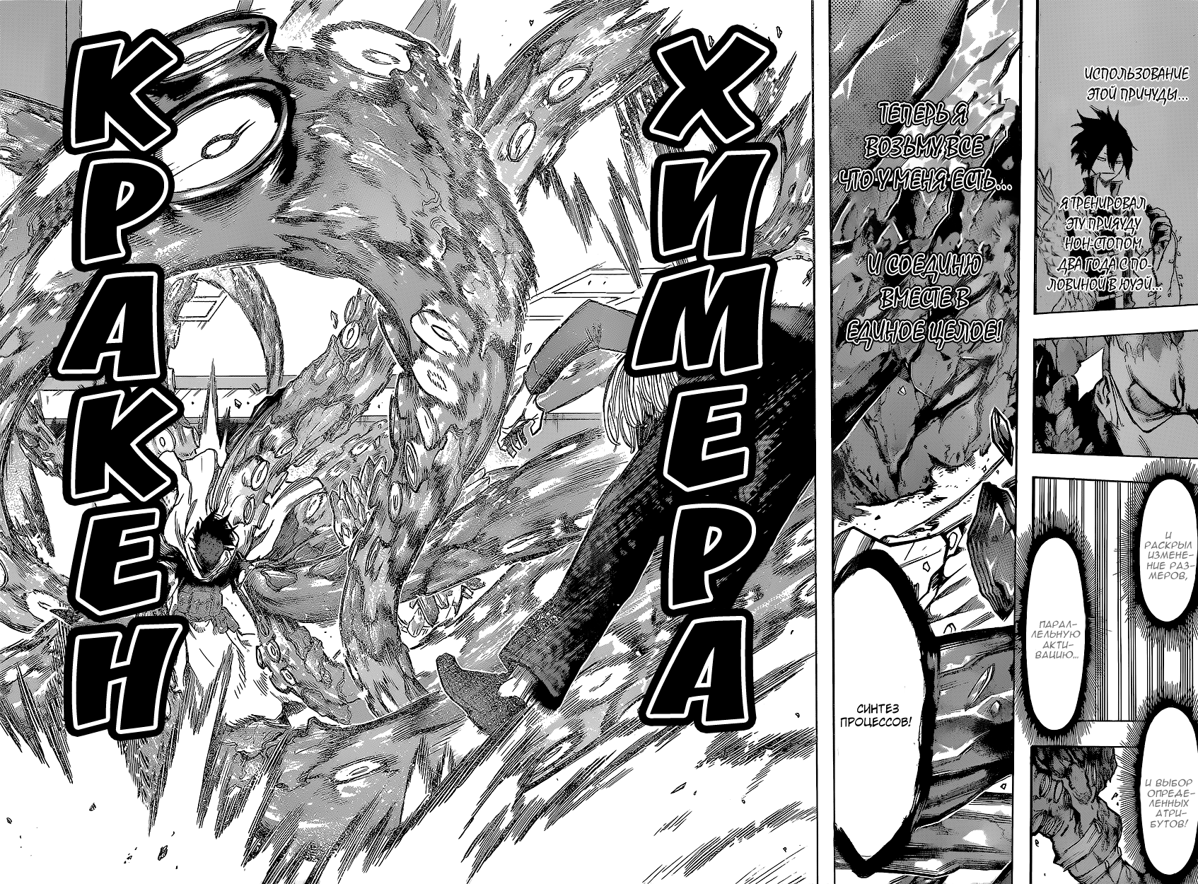 Read Boku no Hero Academia RU Manga Online