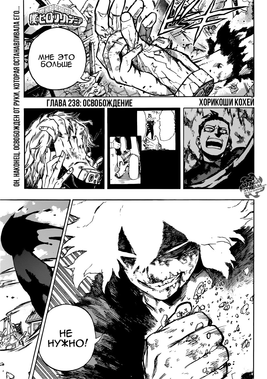 Read Boku no Hero Academia RU Manga Online