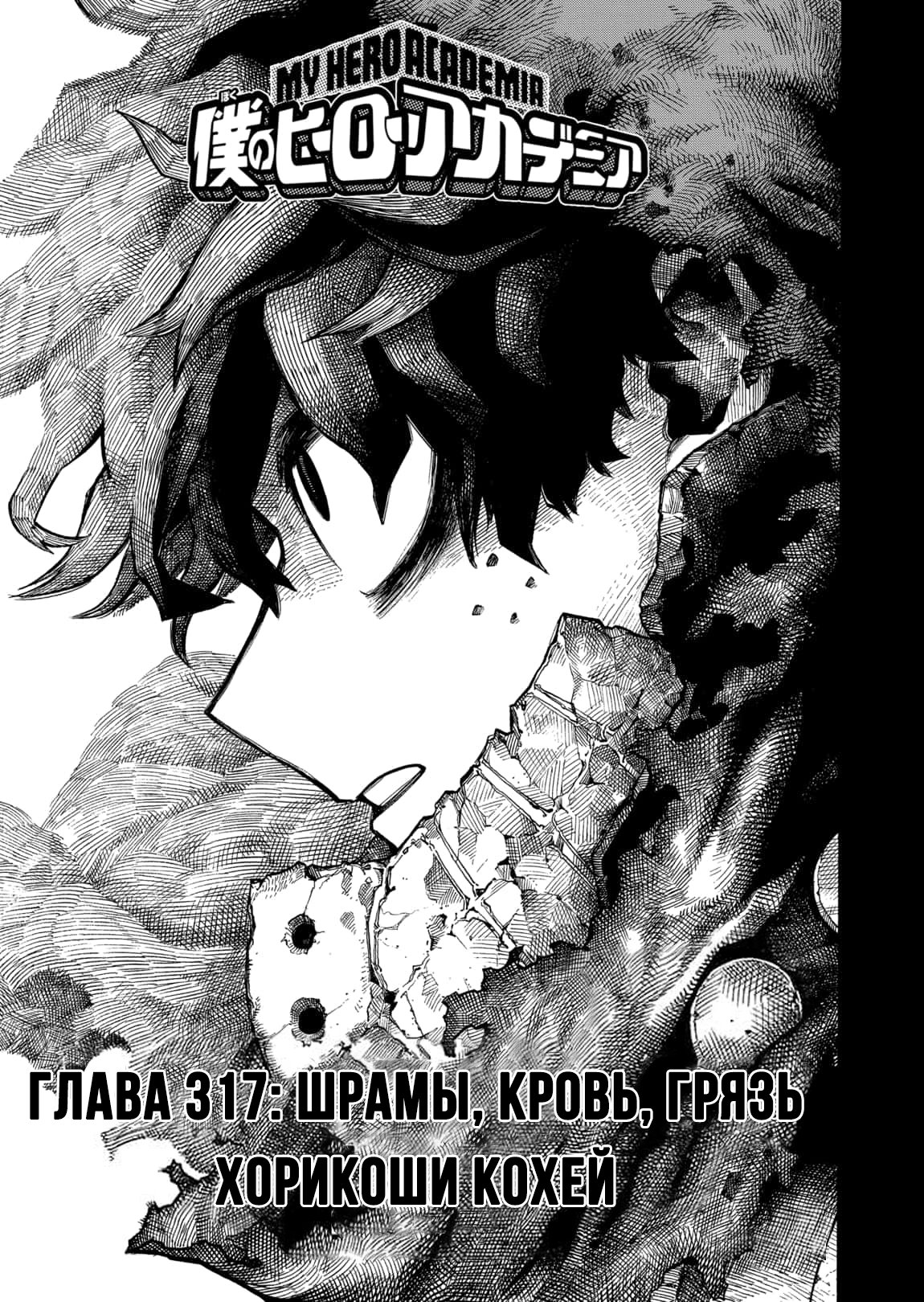 Read Boku no Hero Academia RU Manga Online