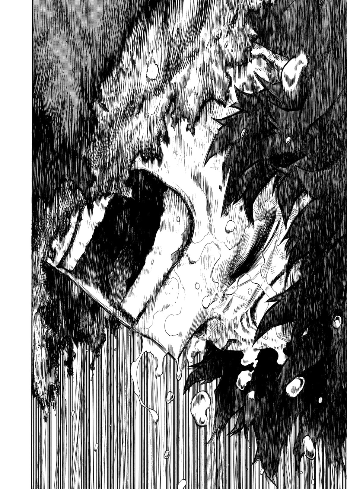 Read Boku no Hero Academia RU Manga Online