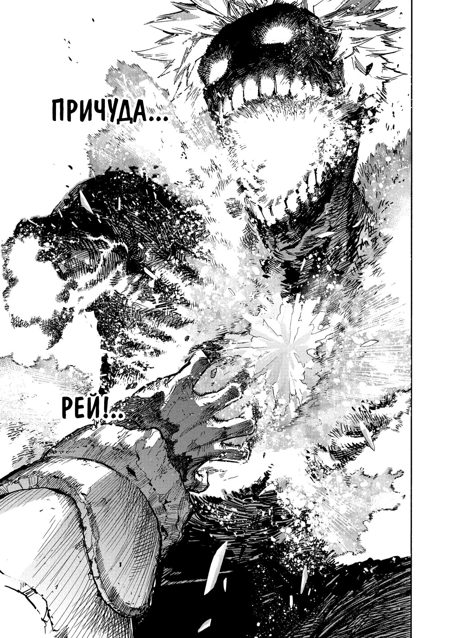 Read Boku no Hero Academia RU Manga Online