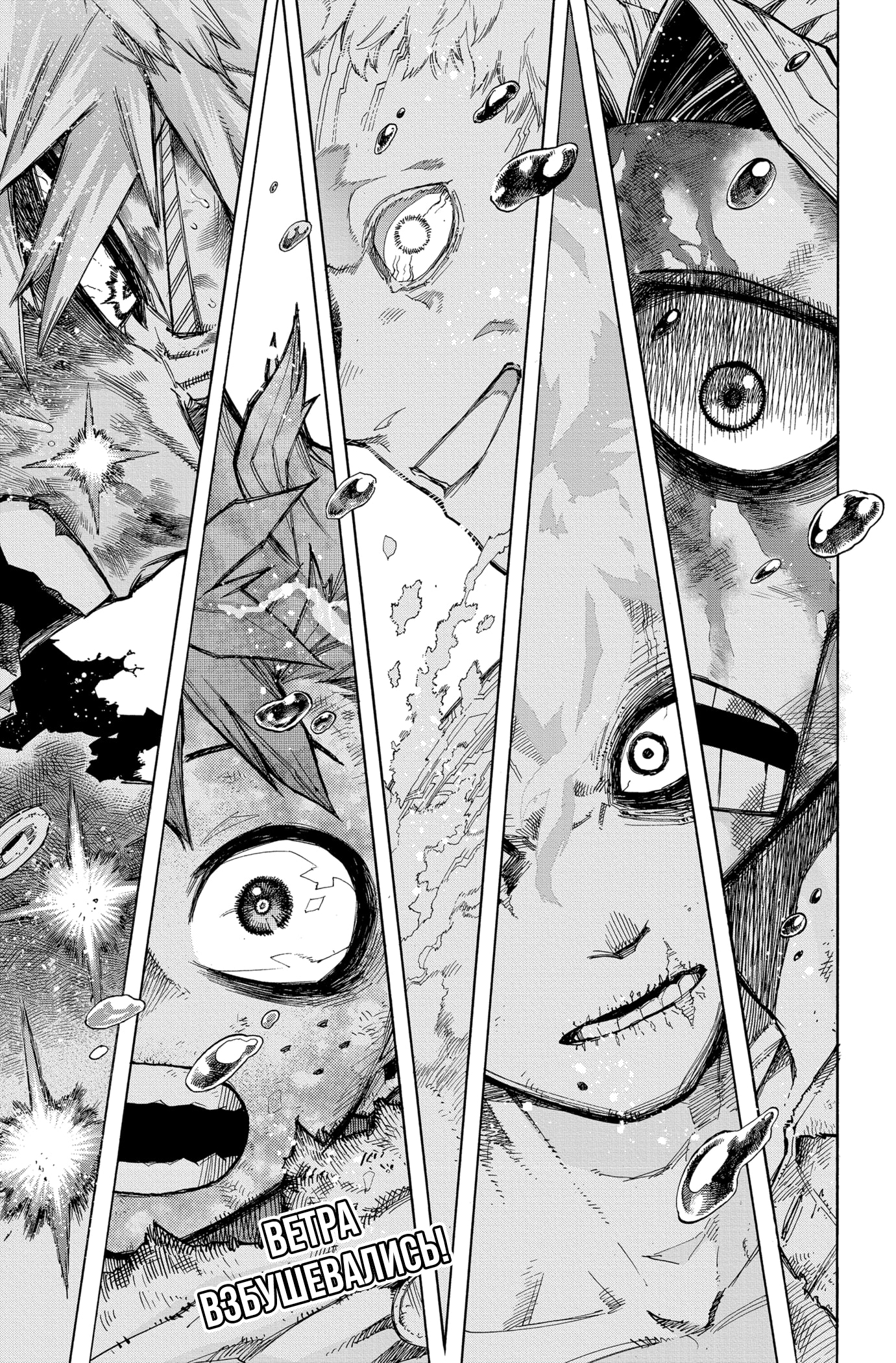 Read Boku no Hero Academia RU Manga Online