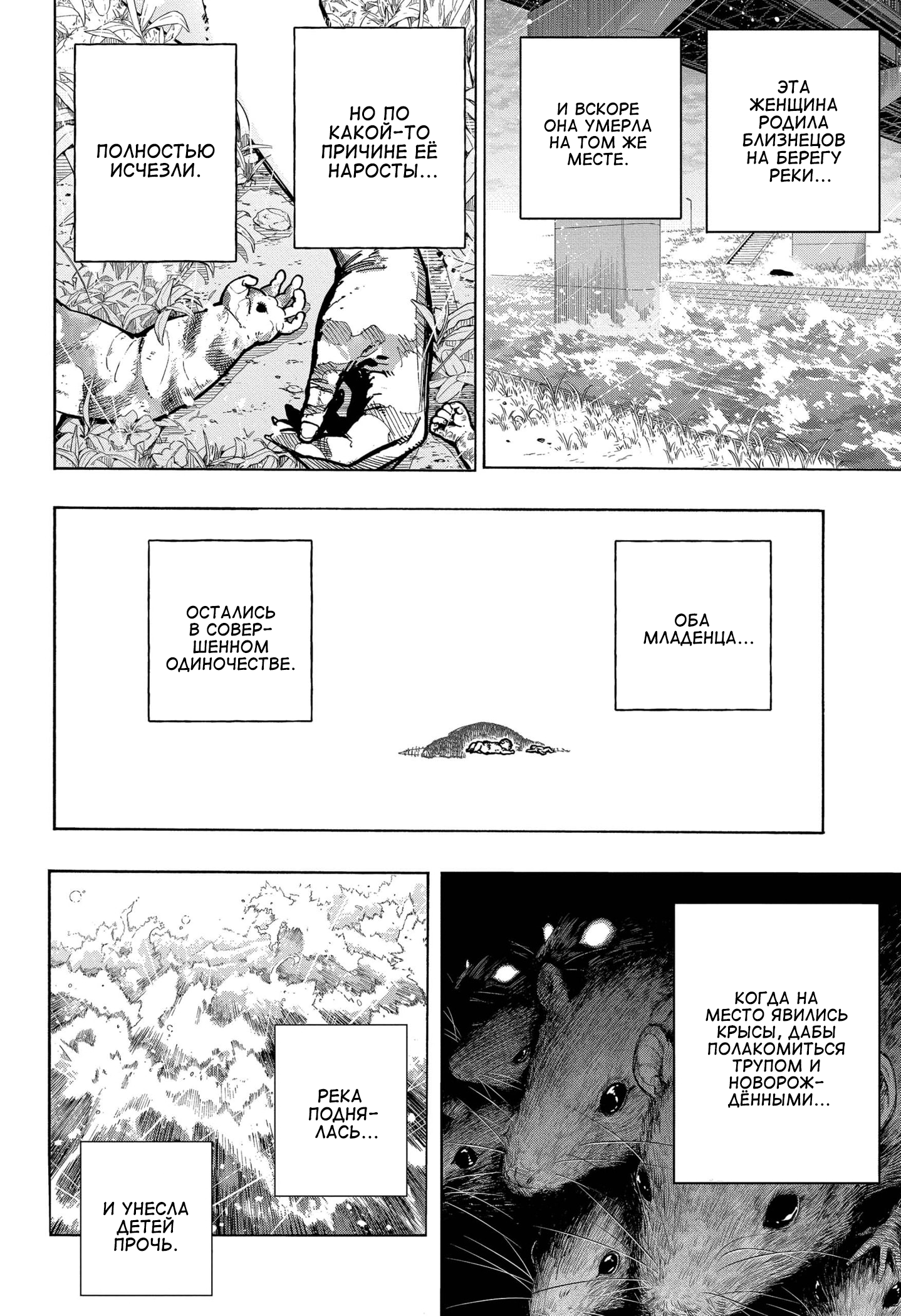 Read Boku no Hero Academia RU Manga Online