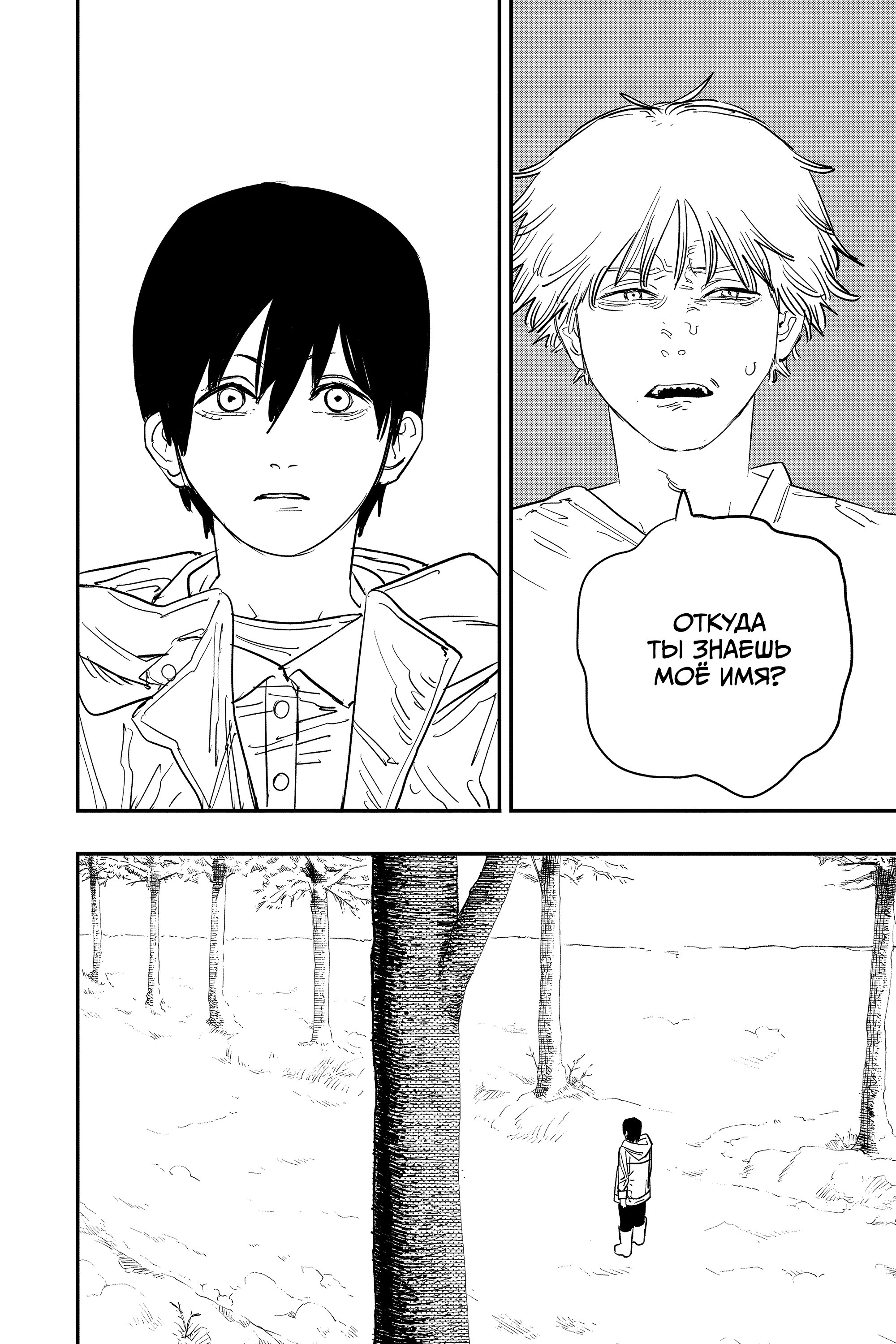 Read Chainsaw Man RU Manga Online