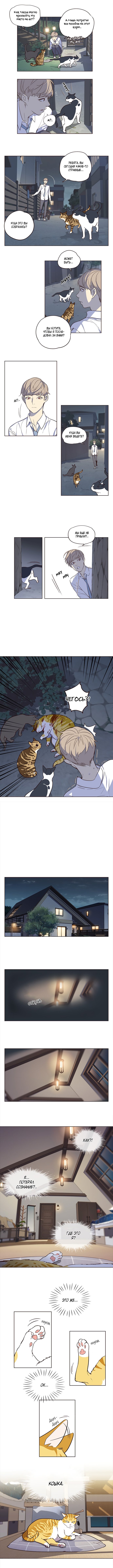 Read Eleceed RU Manga Online