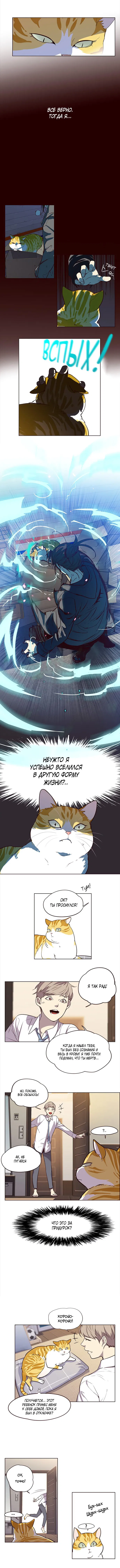Read Eleceed RU Manga Online