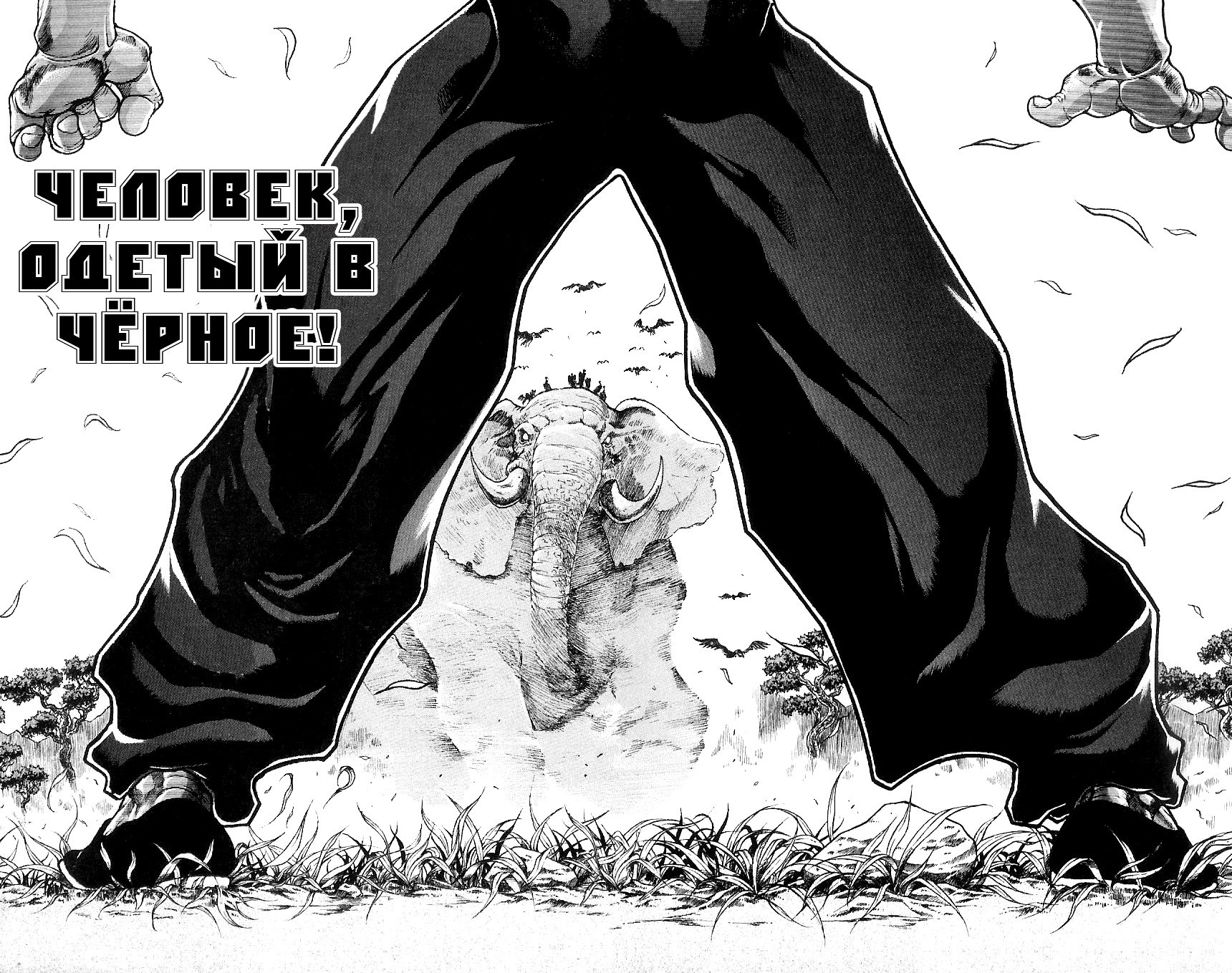 Read Hanma Baki RU Manga Online