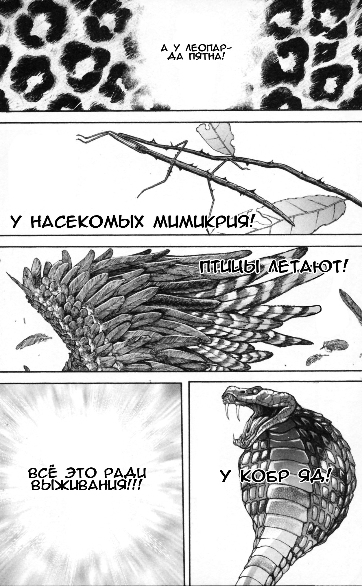 Read Hanma Baki RU Manga Online