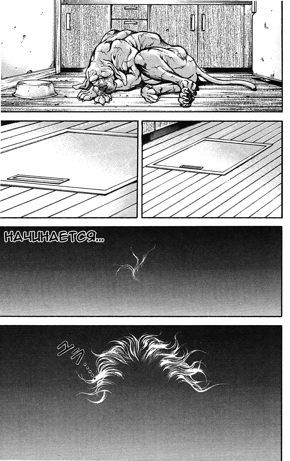Read Hanma Baki RU Manga Online