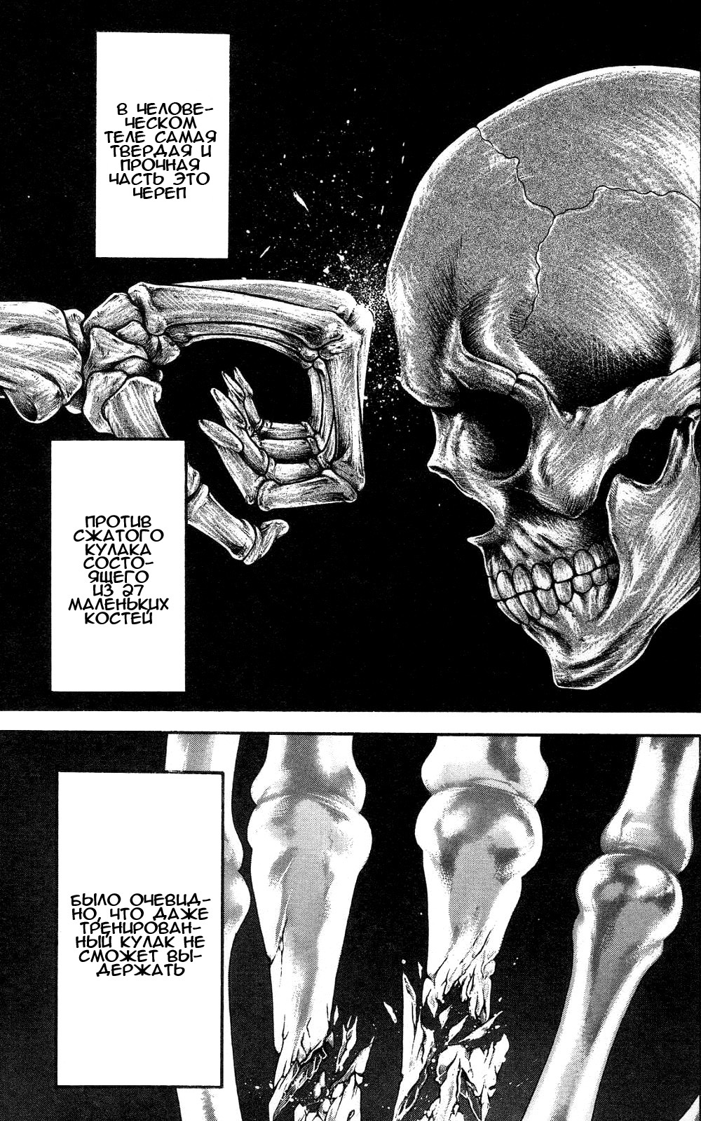 Read Hanma Baki RU Manga Online
