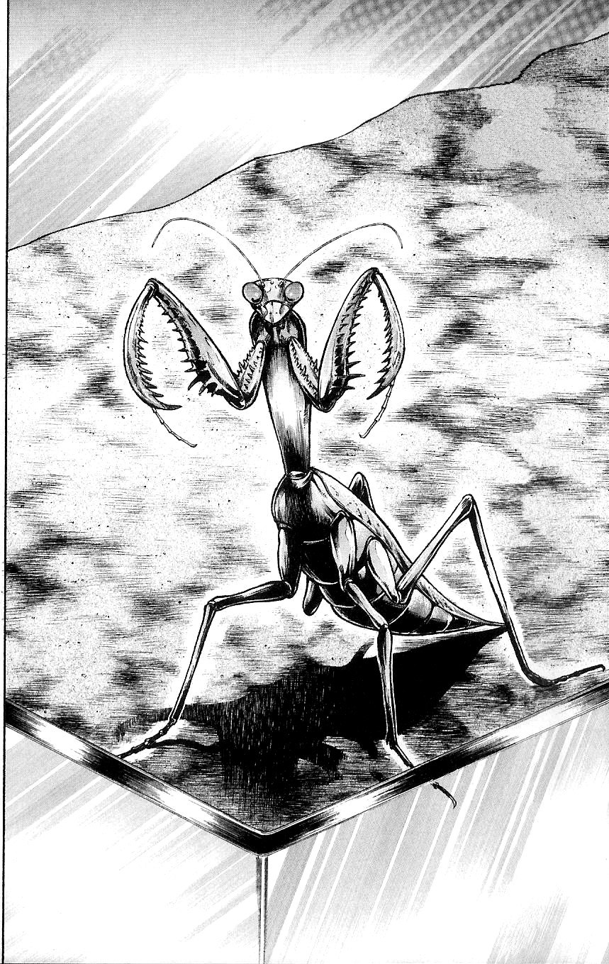Read Hanma Baki RU Manga Online