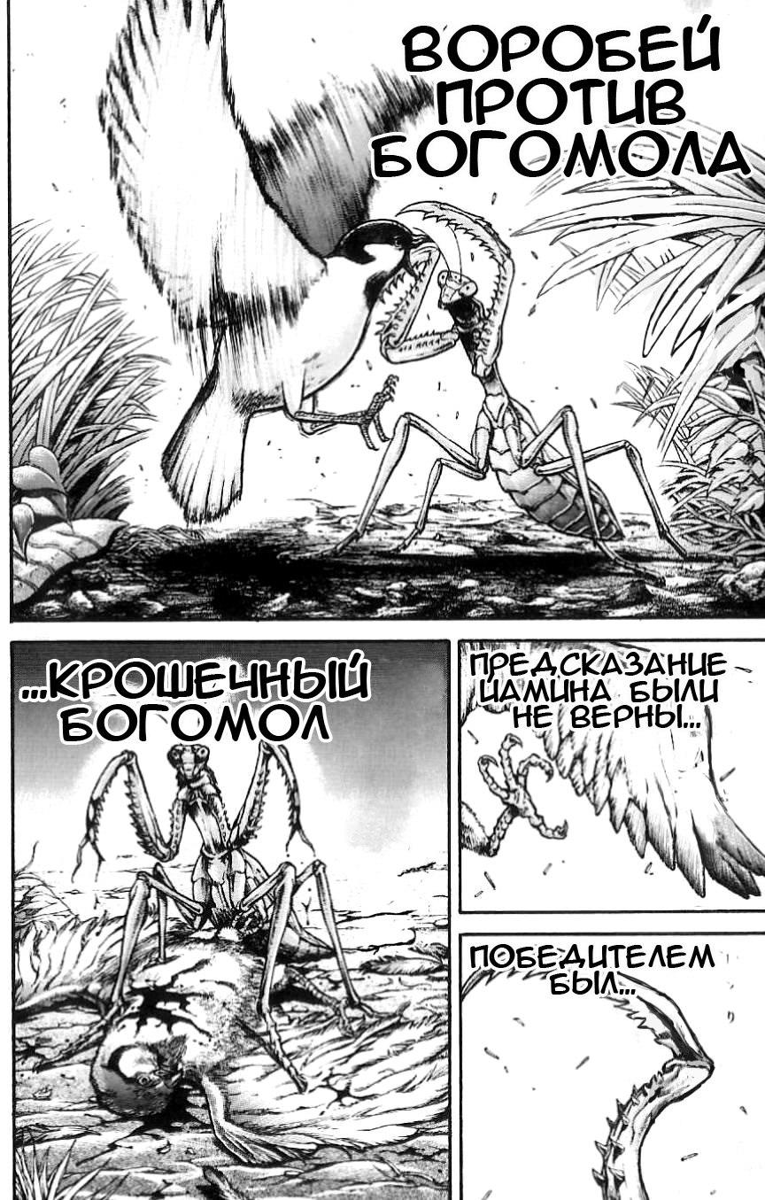 Read Hanma Baki RU Manga Online