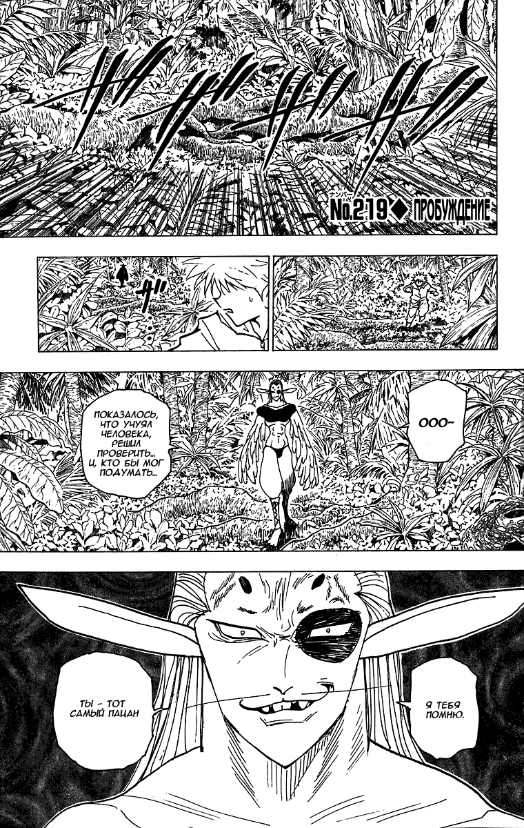 Read Hunter x Hunter RU Manga Online