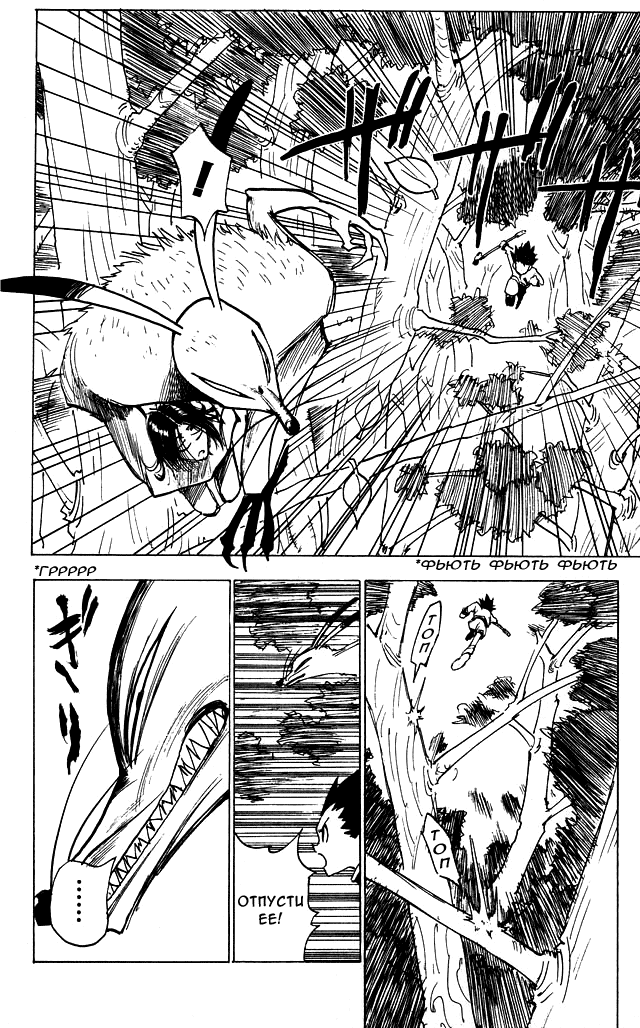 Read Hunter x Hunter RU Manga Online