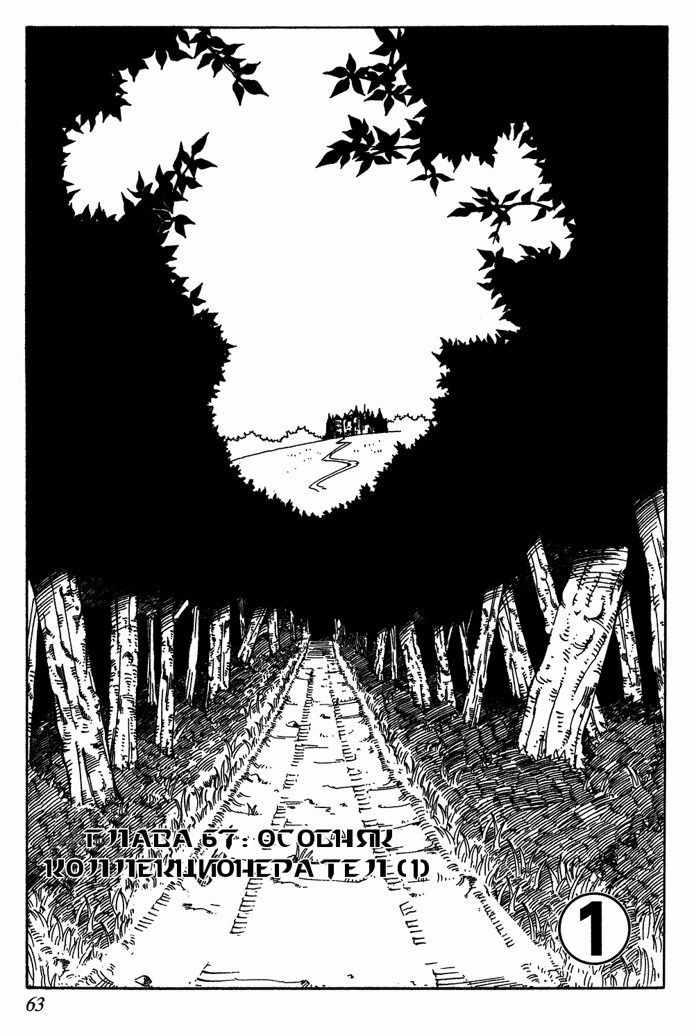 Read Hunter x Hunter RU Manga Online