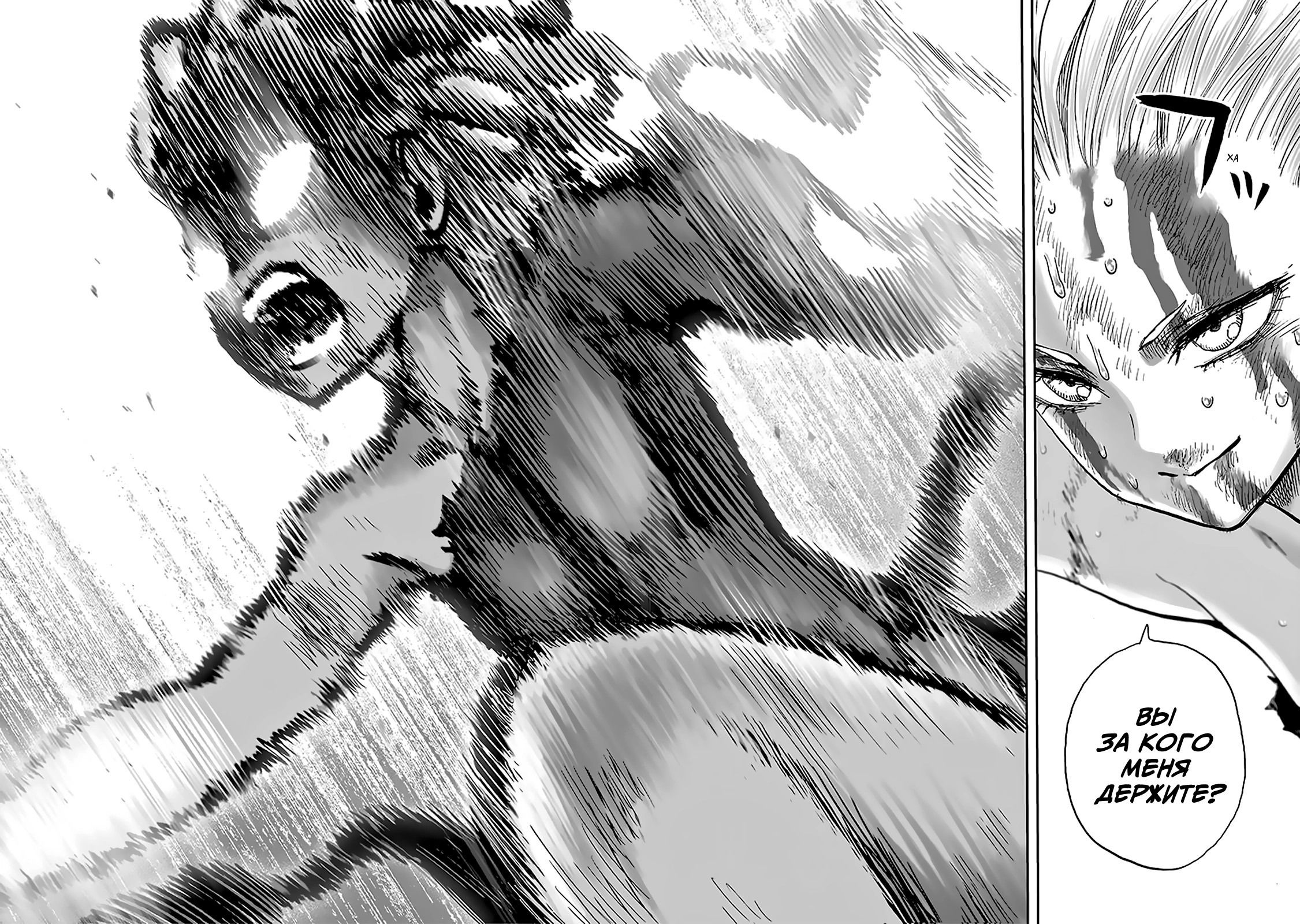 Read One-Punch Man RU Manga Online