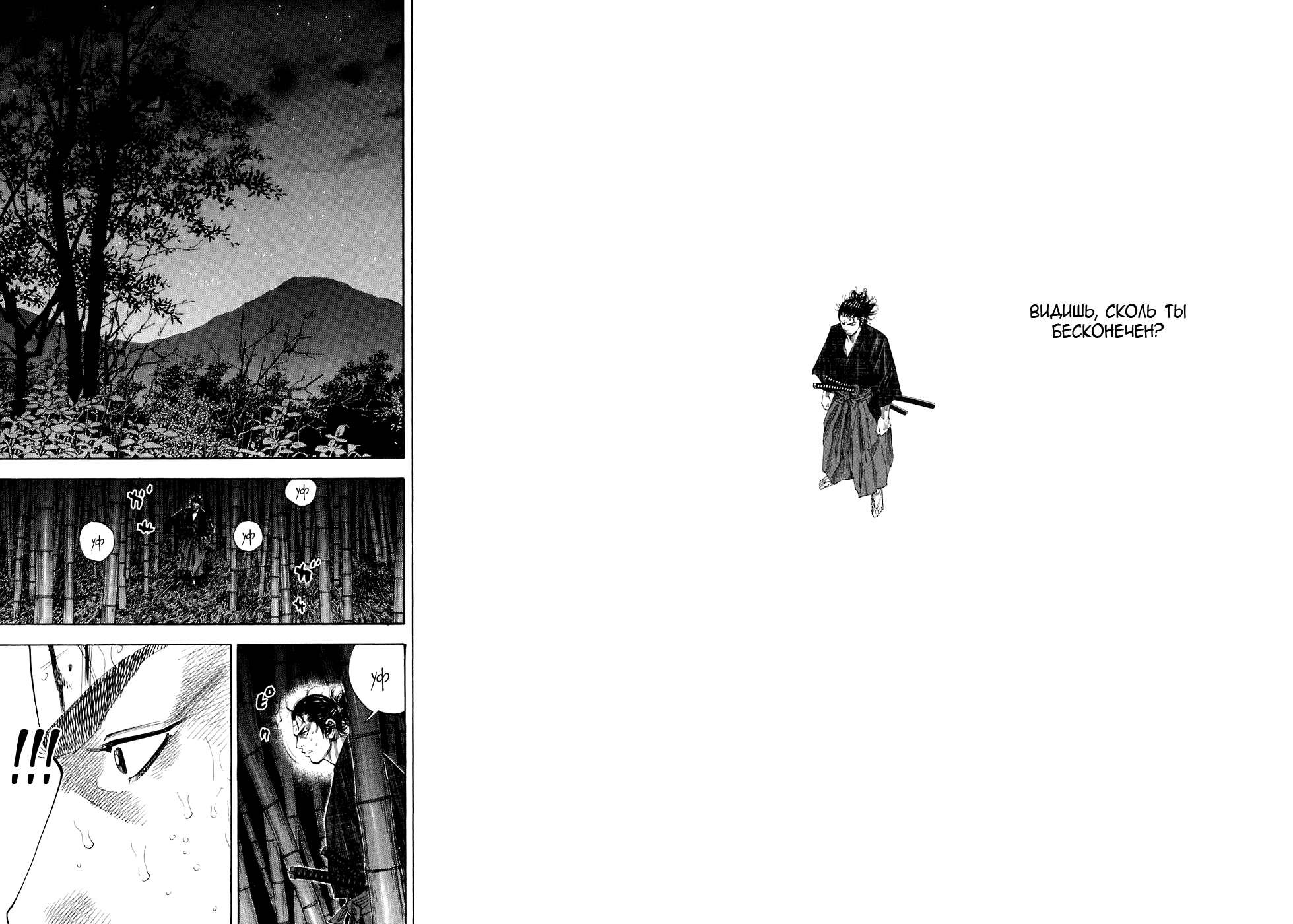 Read Vagabond RU Manga Online