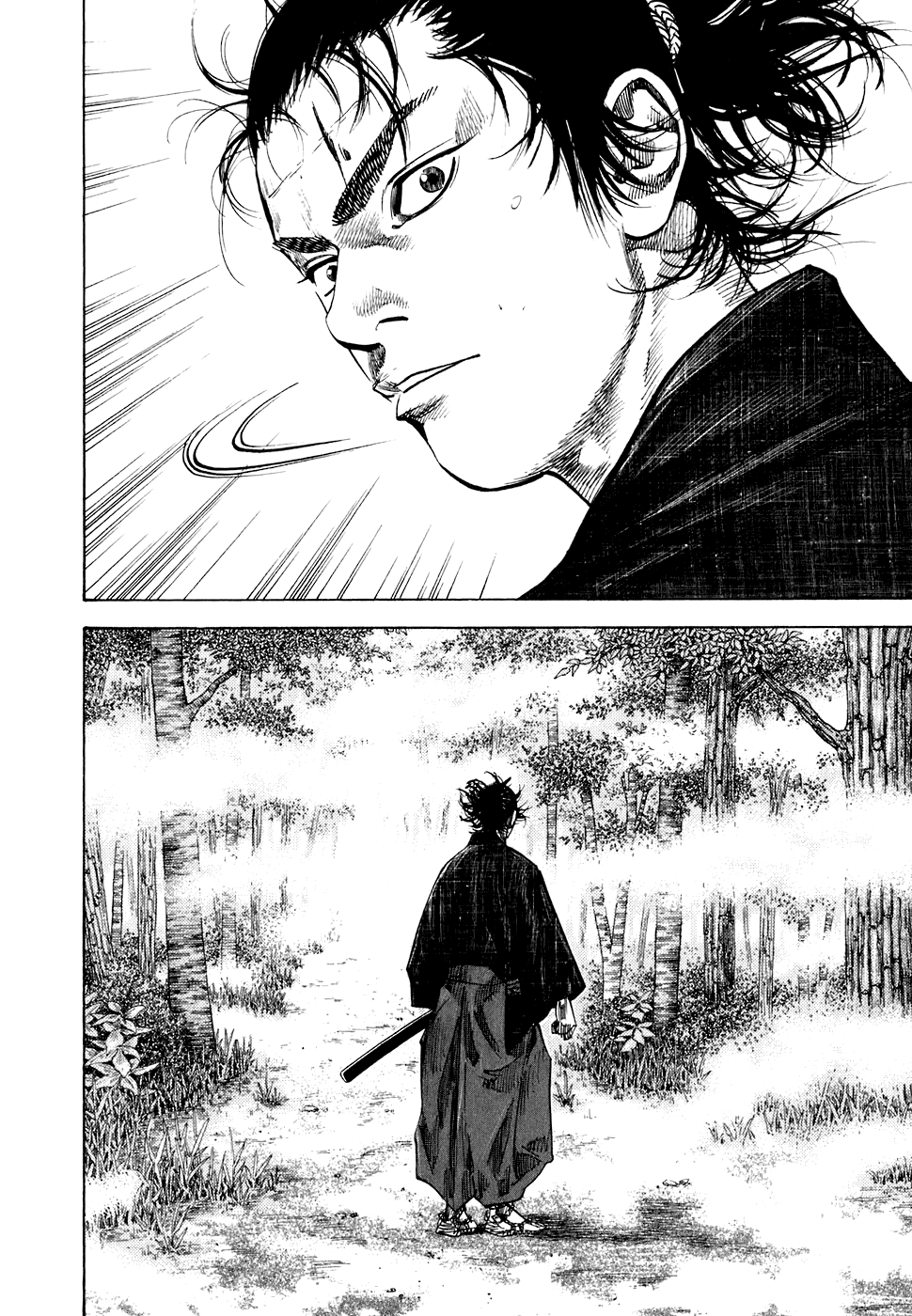 Read Vagabond RU Manga Online
