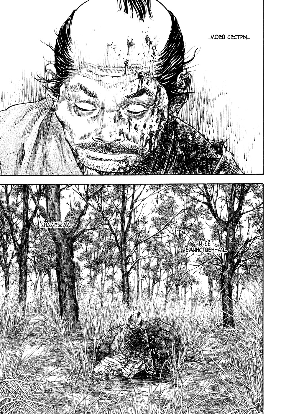 Read Vagabond RU Manga Online