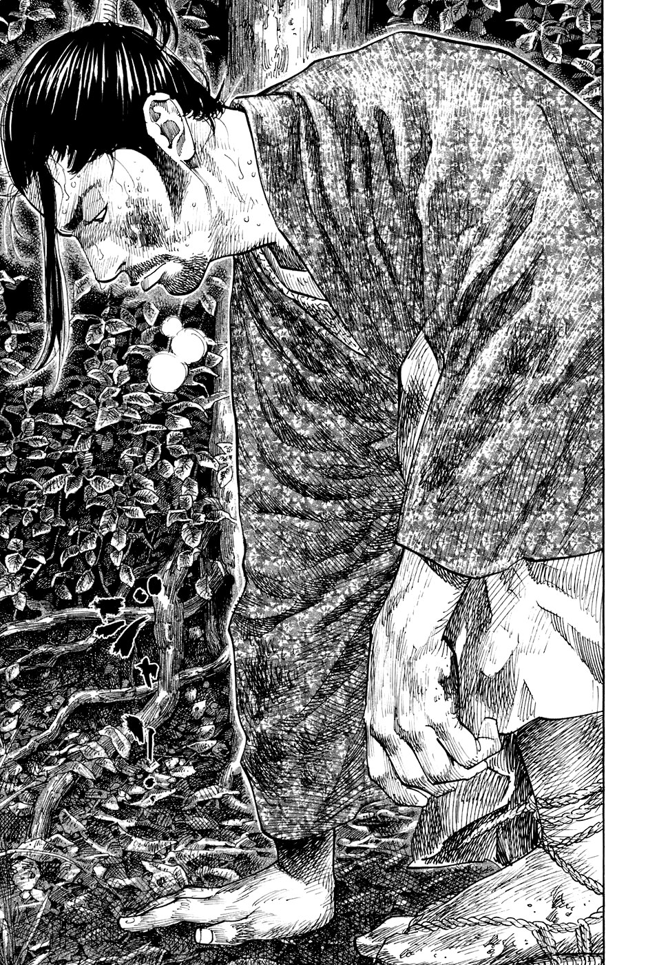 Read Vagabond RU Manga Online