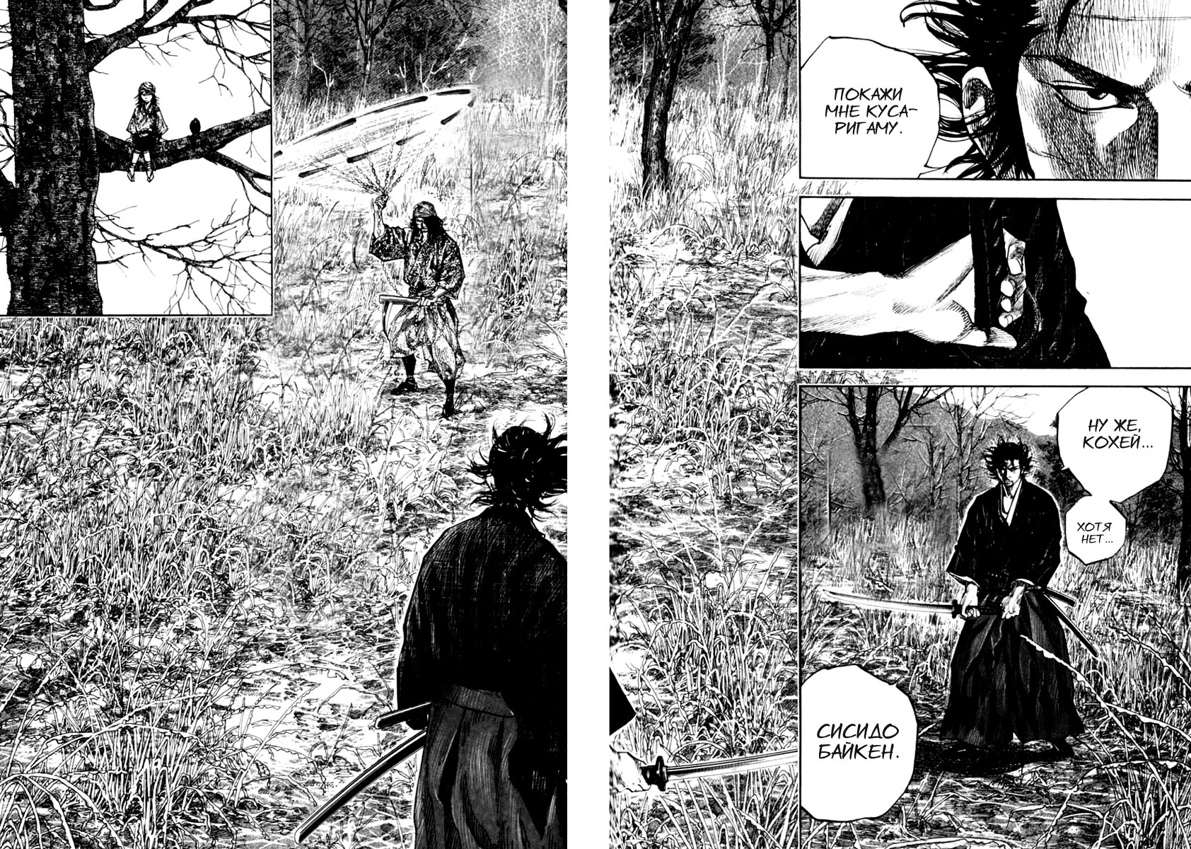Read Vagabond RU Manga Online