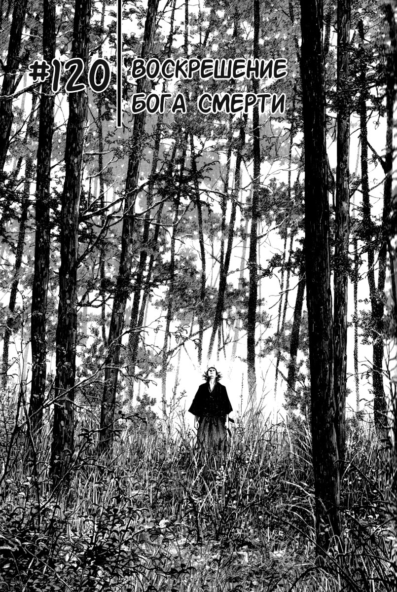 Read Vagabond RU Manga Online