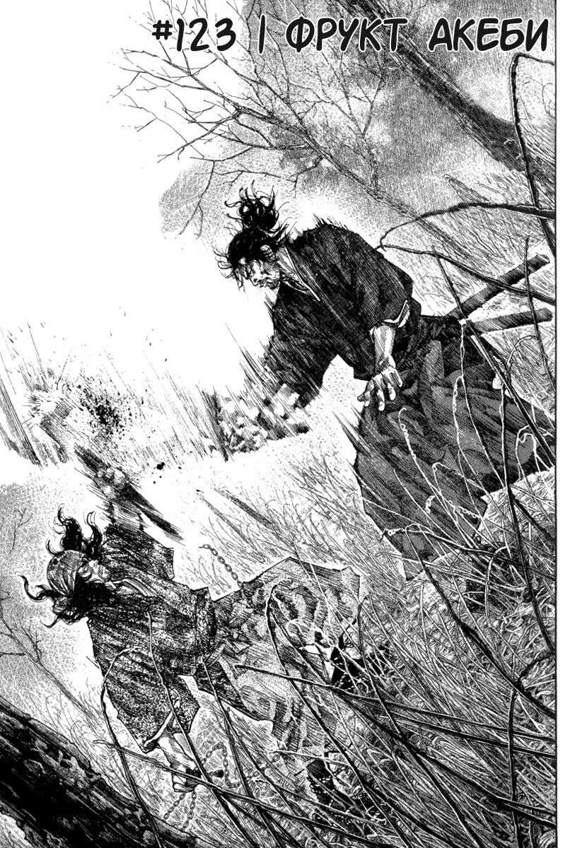Read Vagabond RU Manga Online