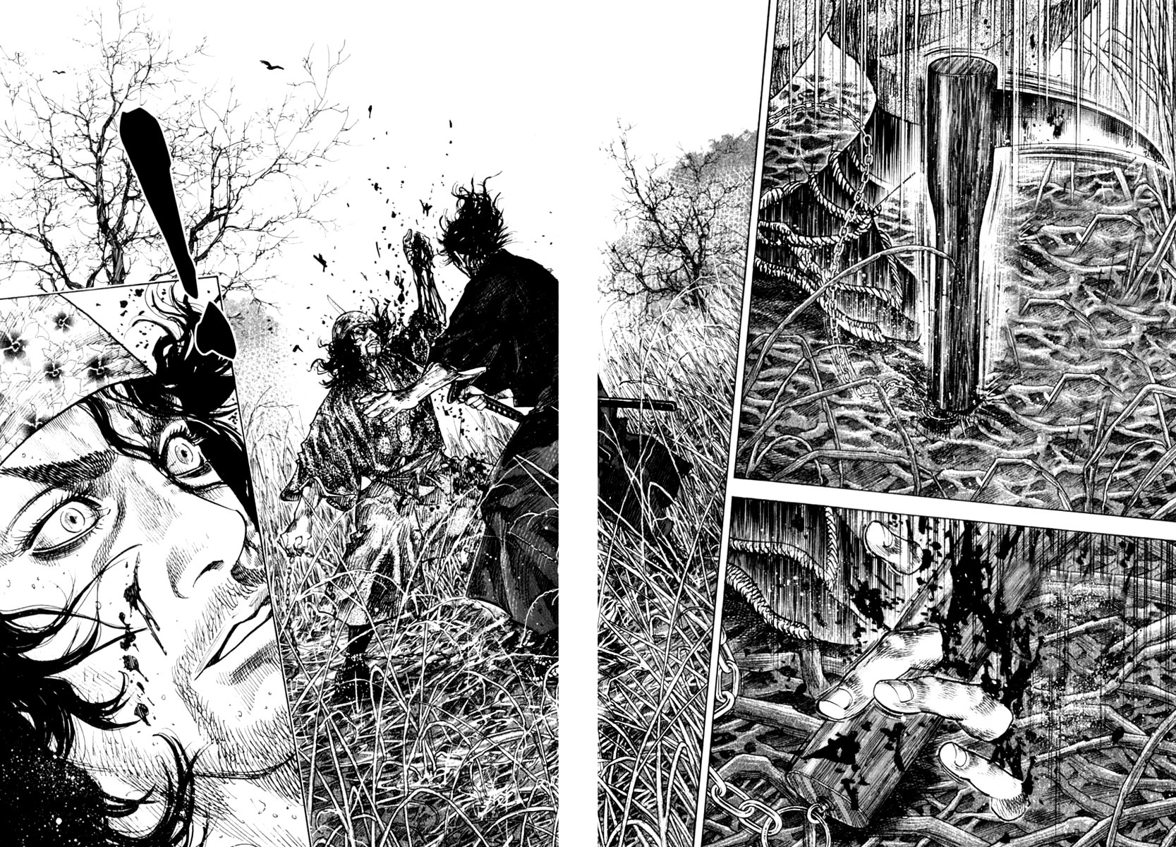 Read Vagabond RU Manga Online
