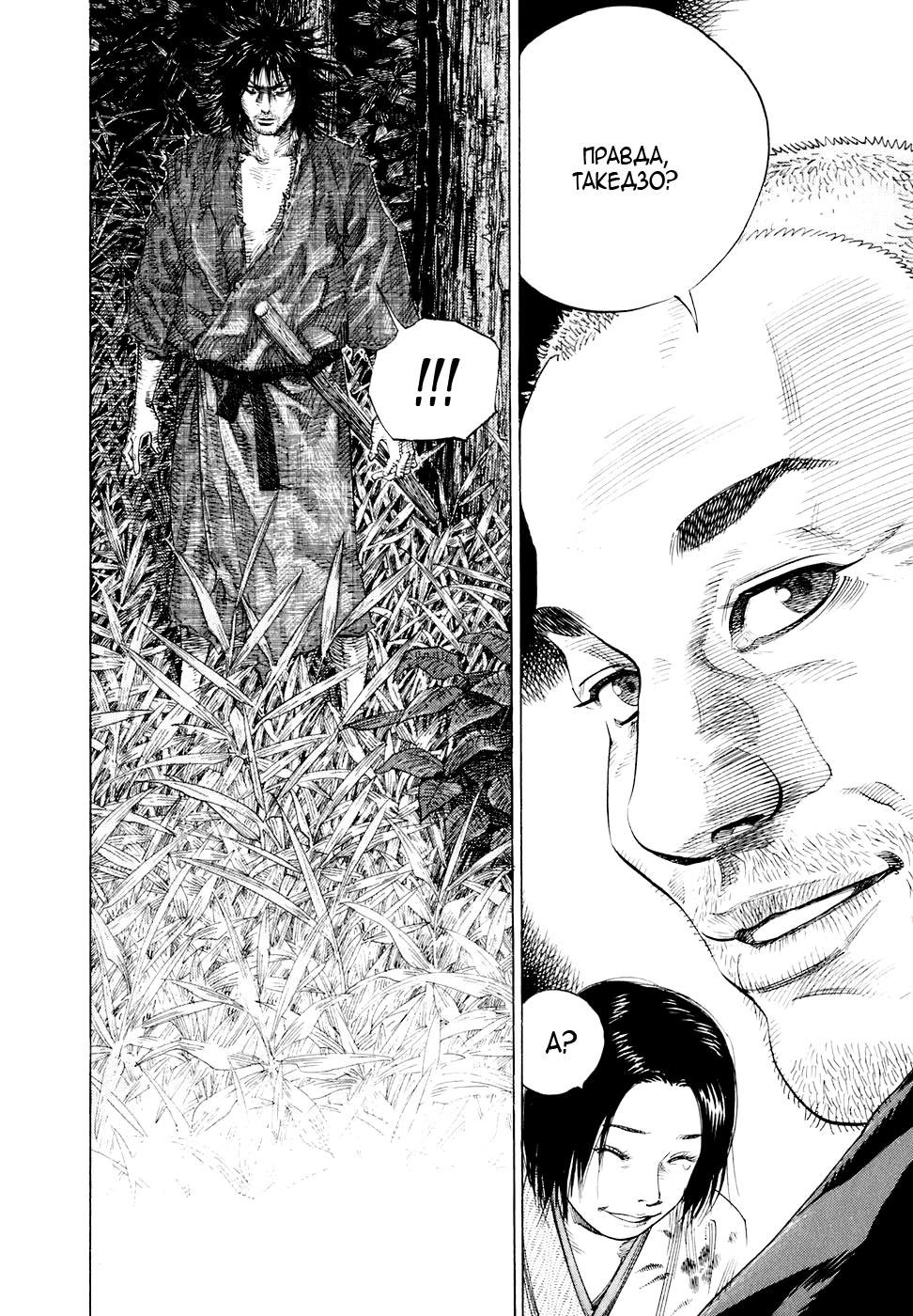 Read Vagabond RU Manga Online