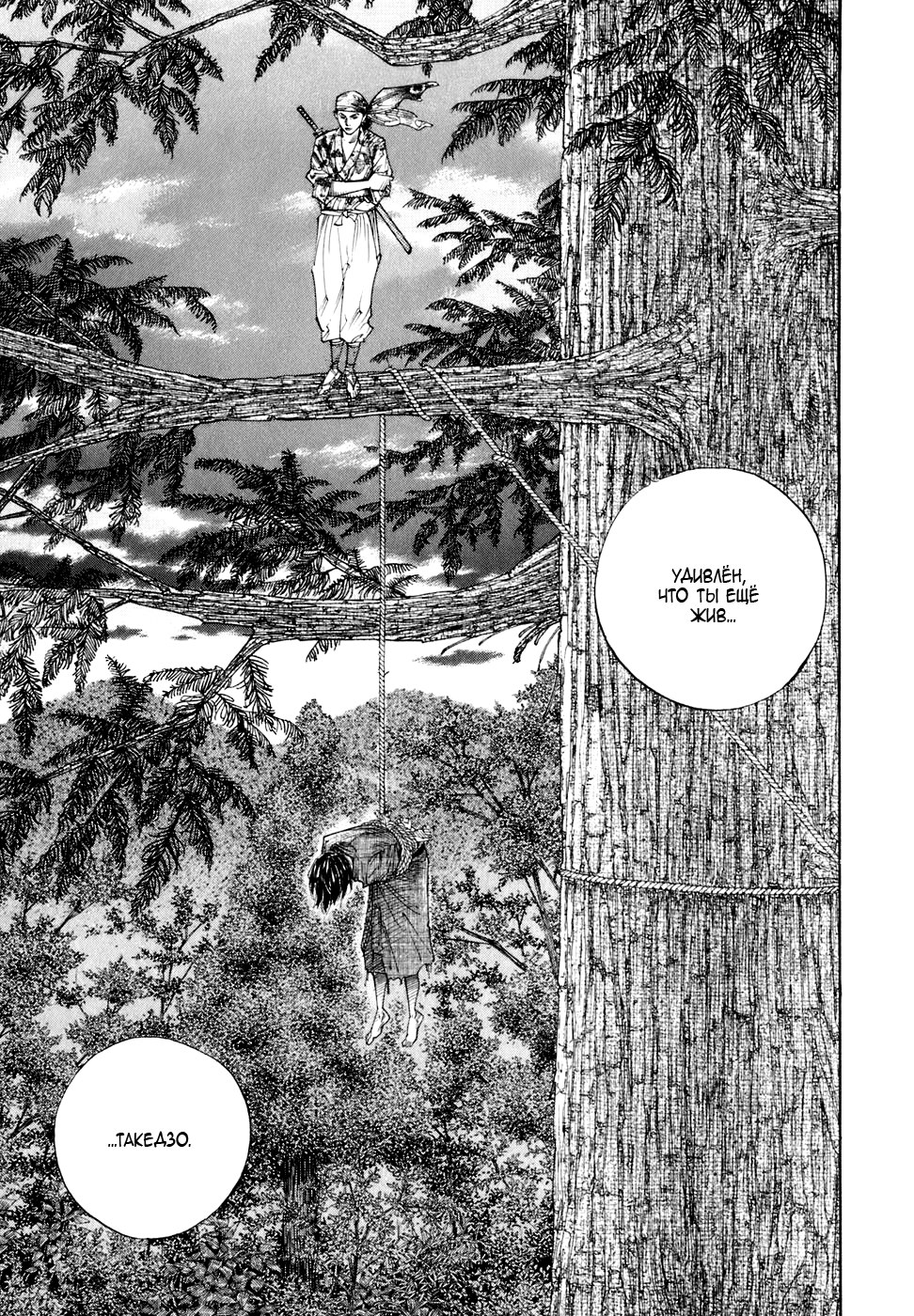 Read Vagabond RU Manga Online