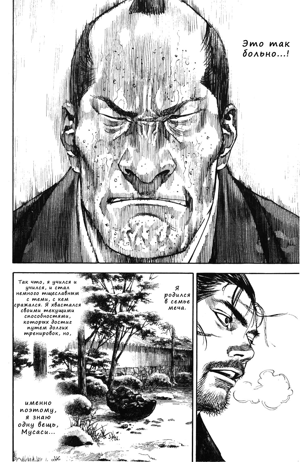 Read Vagabond RU Manga Online