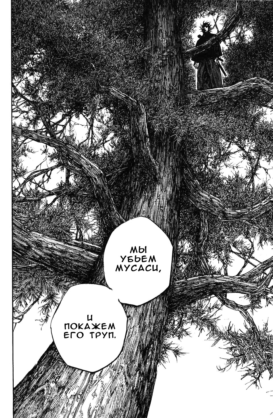 Read Vagabond RU Manga Online