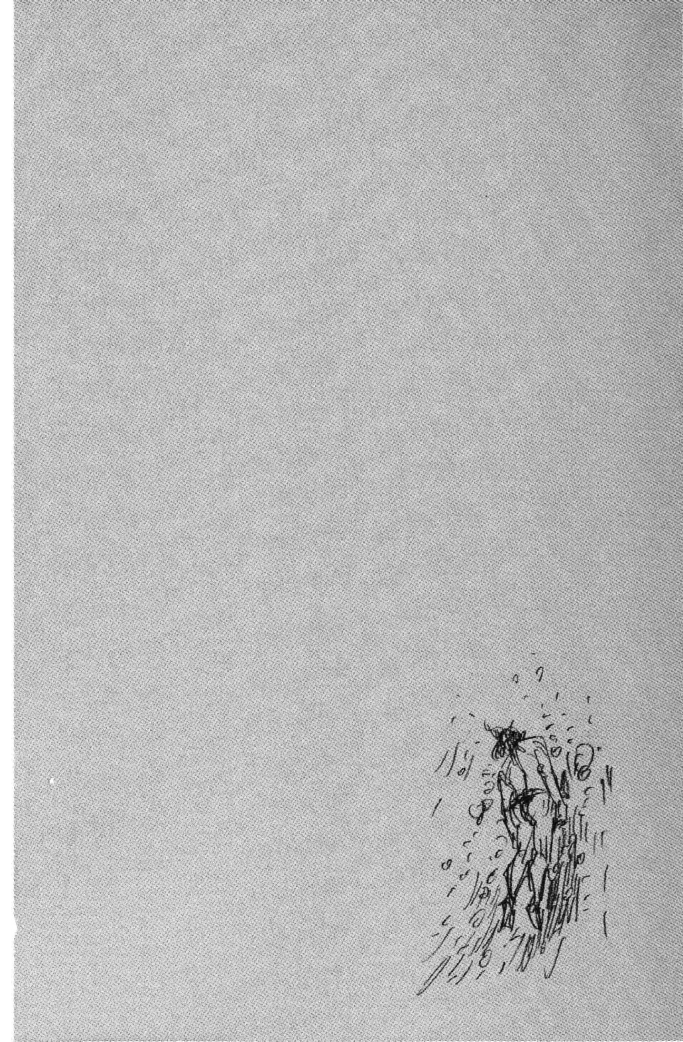 Read Vagabond RU Manga Online