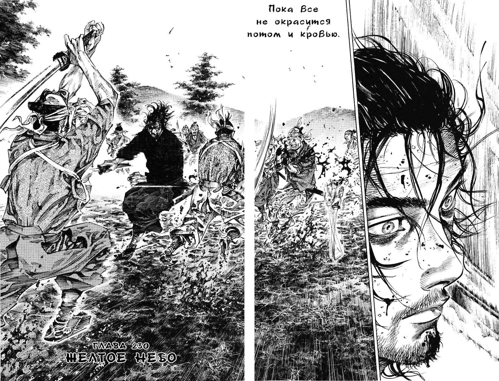 Read Vagabond RU Manga Online