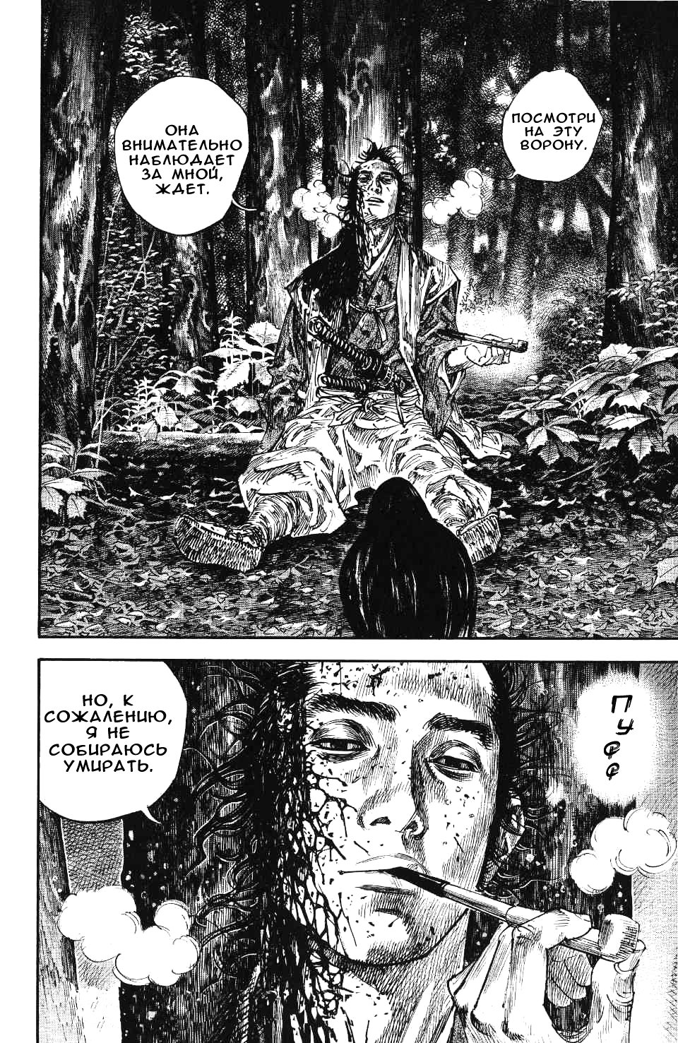 Read Vagabond RU Manga Online