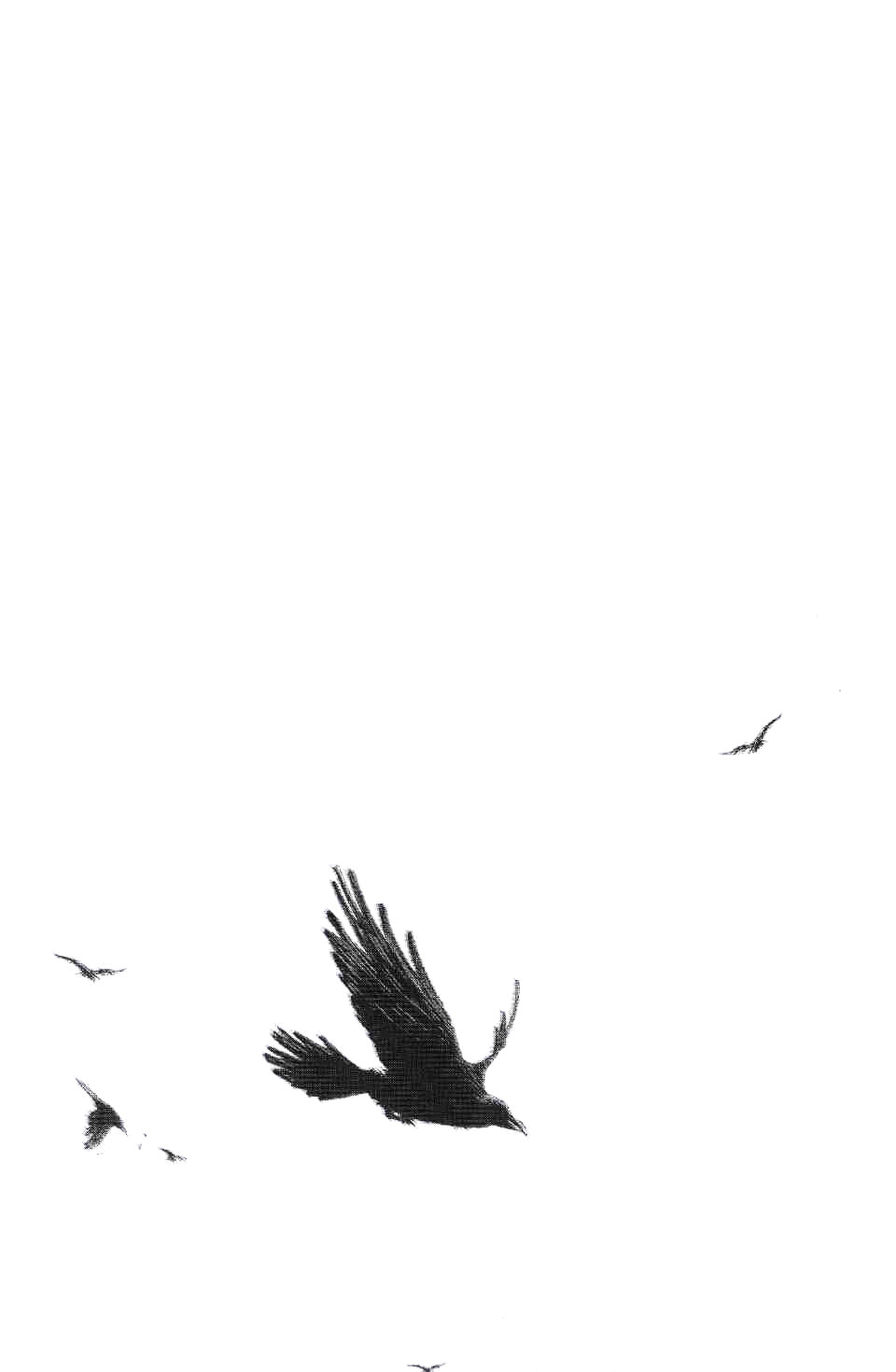 Read Vagabond RU Manga Online