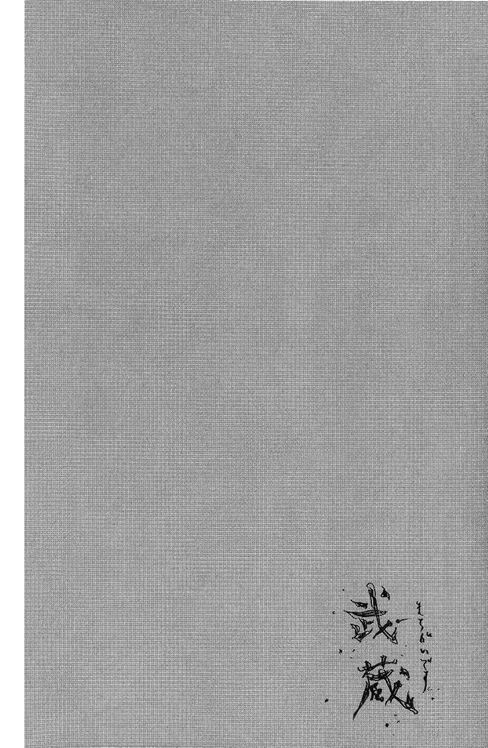 Read Vagabond RU Manga Online