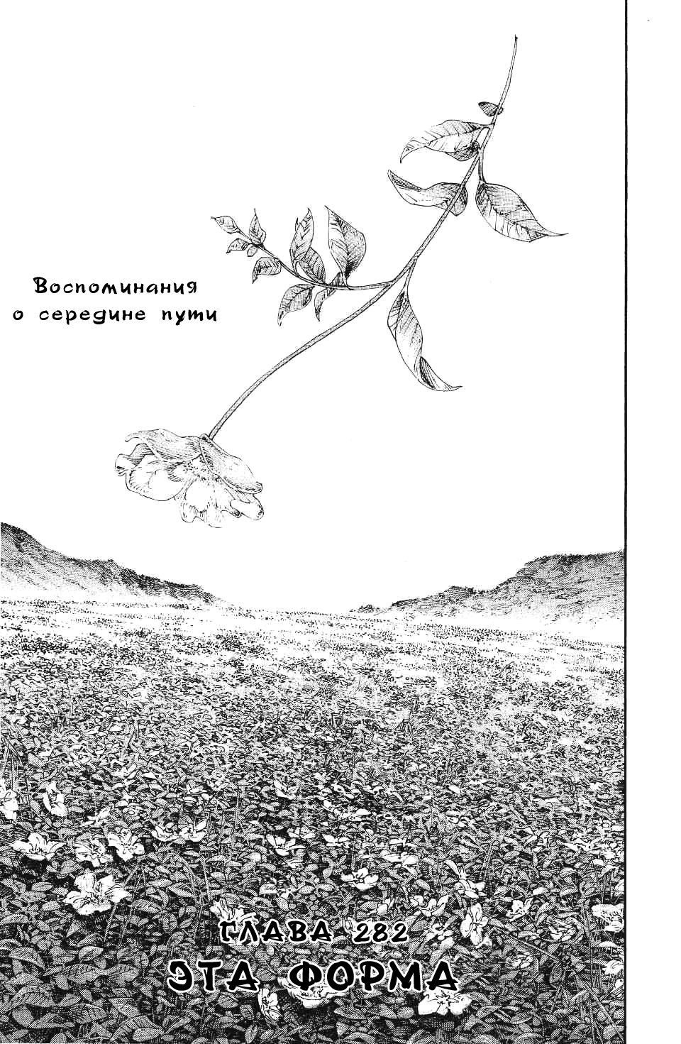 Read Vagabond RU Manga Online