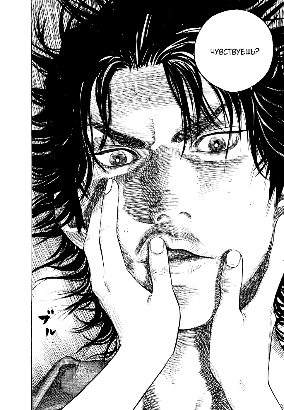 Read Vagabond RU Manga Online
