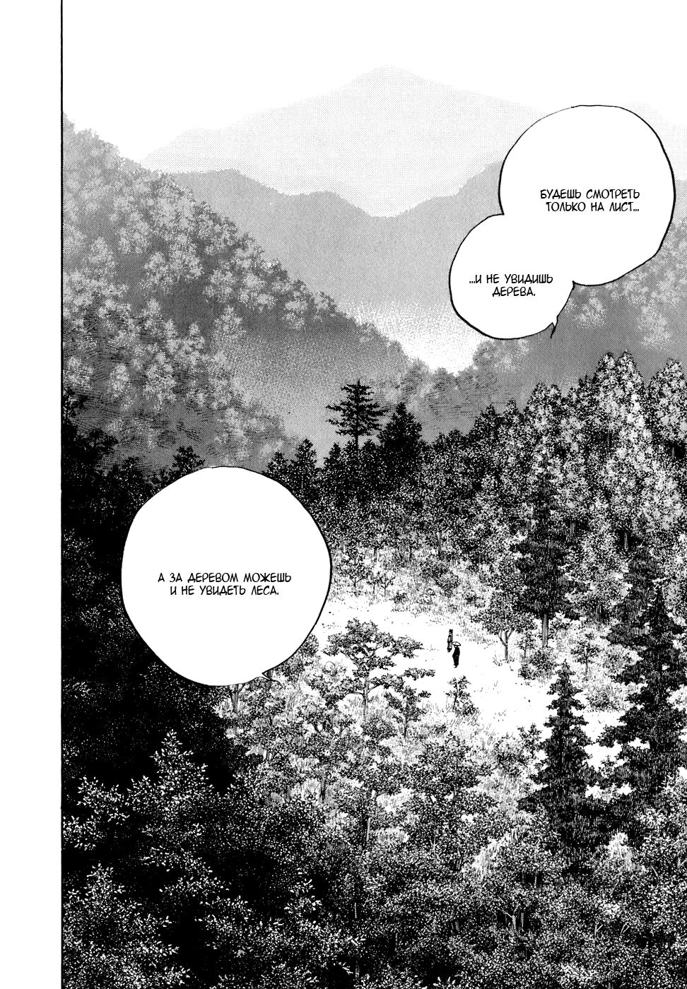 Read Vagabond RU Manga Online