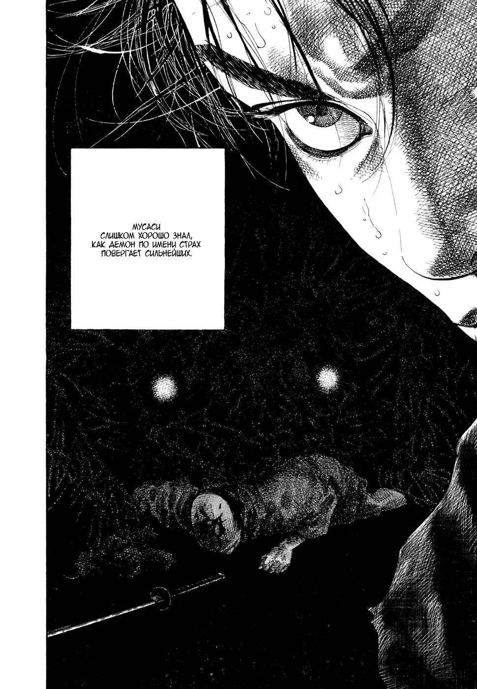 Read Vagabond RU Manga Online