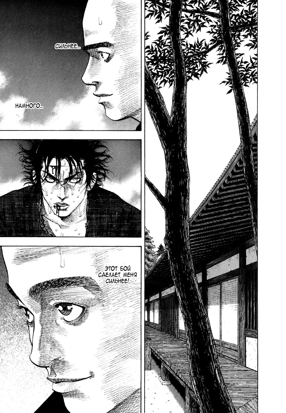 Read Vagabond RU Manga Online
