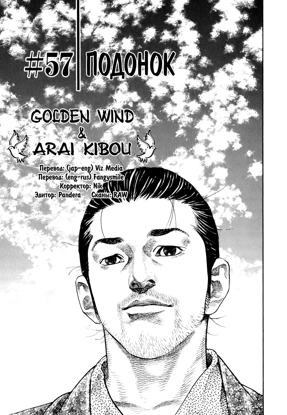 Read Vagabond RU Manga Online