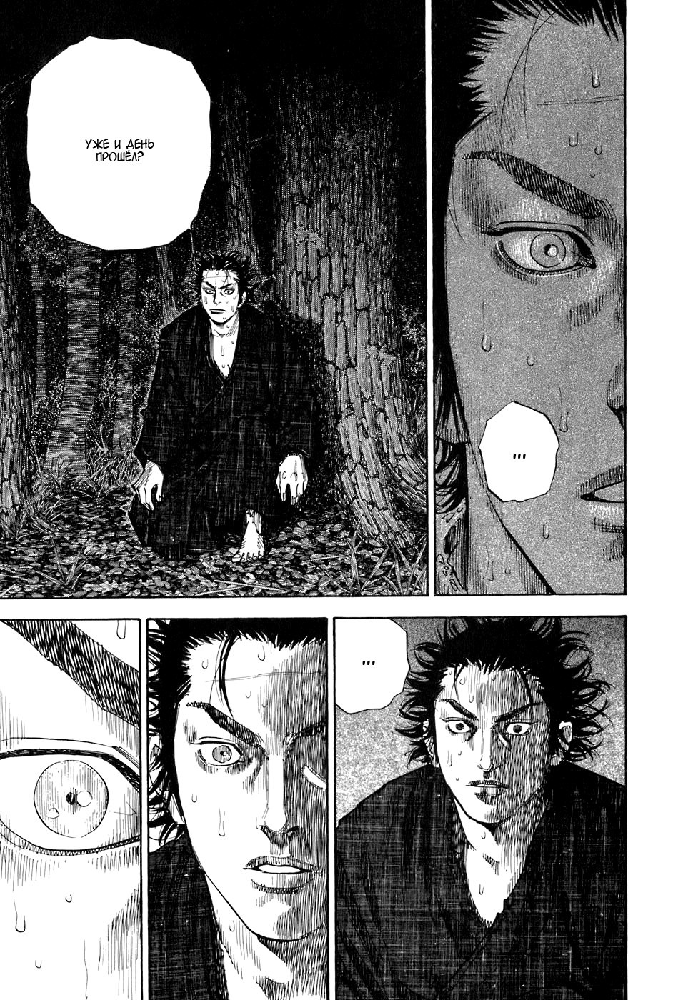 Read Vagabond RU Manga Online