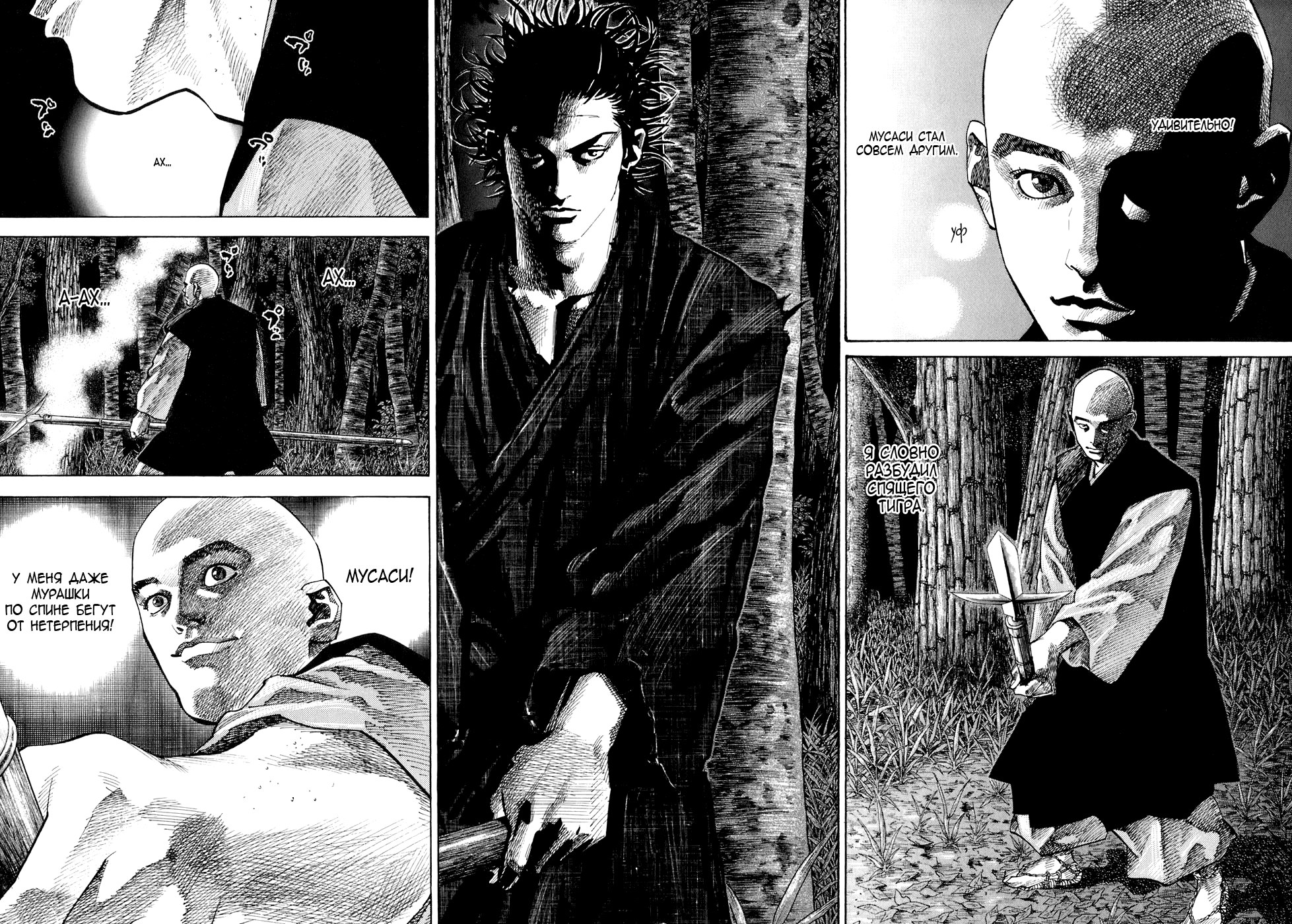 Read Vagabond RU Manga Online