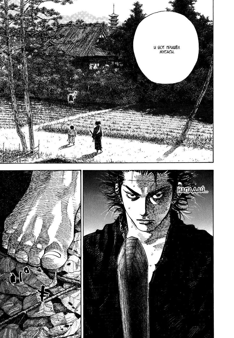 Read Vagabond RU Manga Online