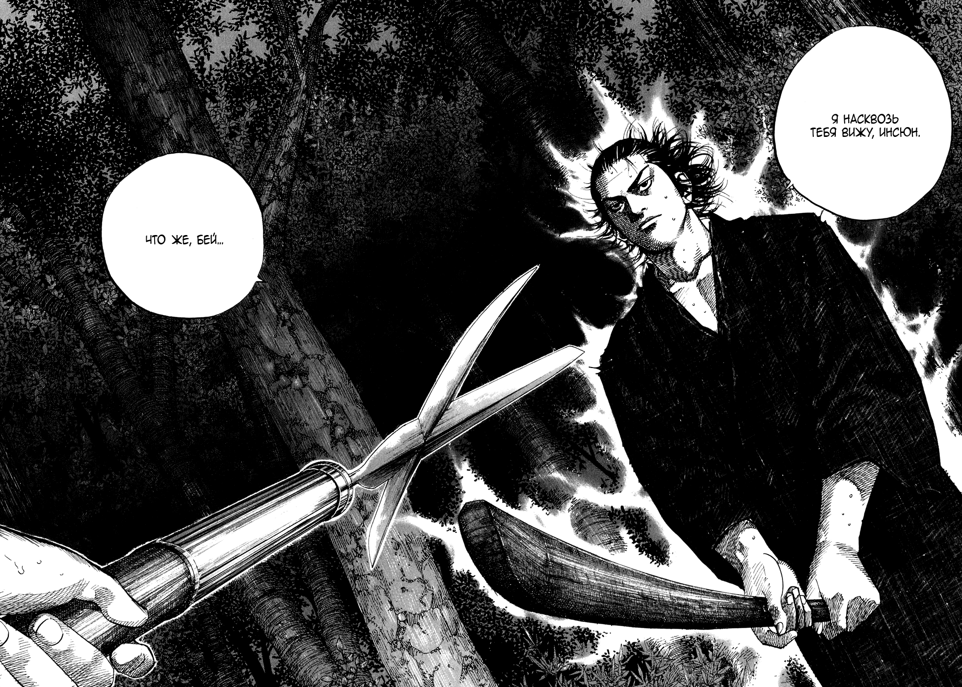 Read Vagabond RU Manga Online