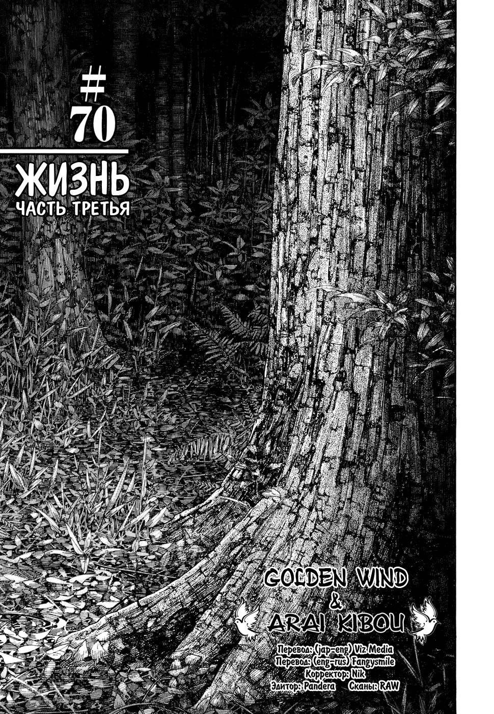Read Vagabond RU Manga Online