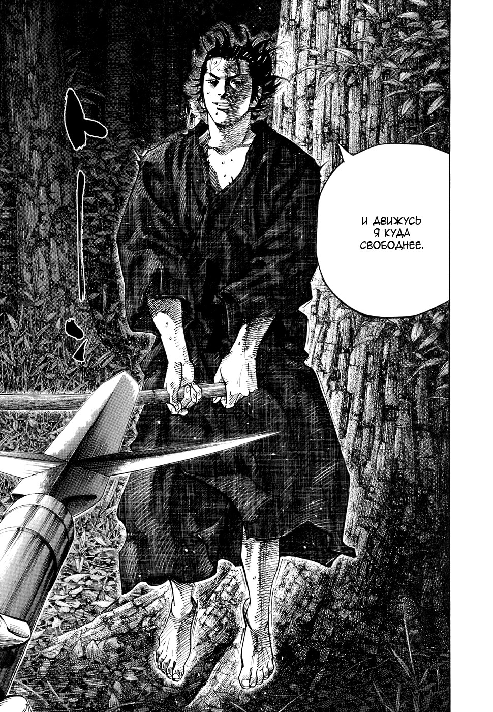 Read Vagabond RU Manga Online